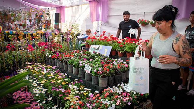 Propuestas culturales y turismo de cercanía del fin de semana